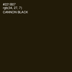 #221B07 - Cannon Black Color Image