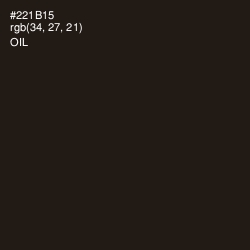 #221B15 - Oil Color Image