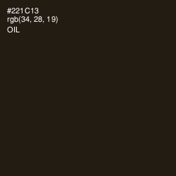 #221C13 - Oil Color Image