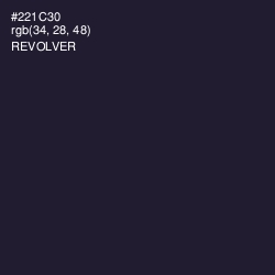 #221C30 - Revolver Color Image