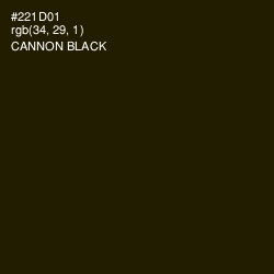 #221D01 - Cannon Black Color Image