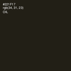 #221F17 - Oil Color Image