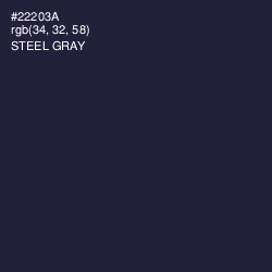 #22203A - Steel Gray Color Image