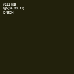 #22210B - Onion Color Image