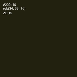 #222110 - Zeus Color Image