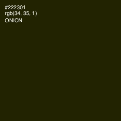 #222301 - Onion Color Image