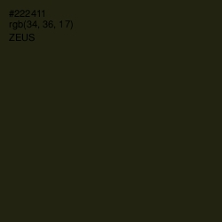 #222411 - Zeus Color Image