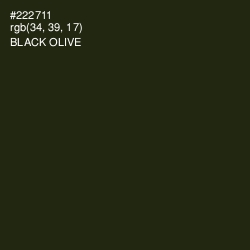 #222711 - Black Olive Color Image