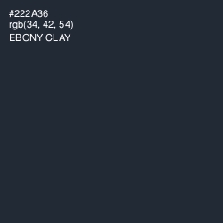 #222A36 - Ebony Clay Color Image