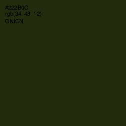 #222B0C - Onion Color Image