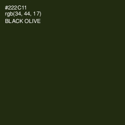 #222C11 - Black Olive Color Image