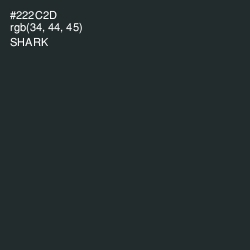 #222C2D - Shark Color Image