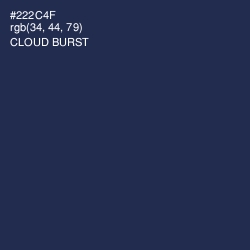 #222C4F - Cloud Burst Color Image