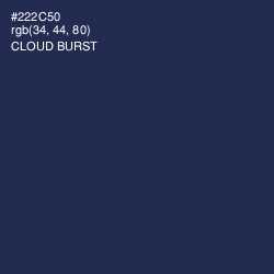 #222C50 - Cloud Burst Color Image