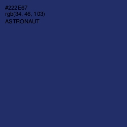 #222E67 - Astronaut Color Image