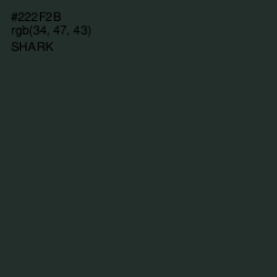 #222F2B - Shark Color Image