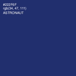 #222F6F - Astronaut Color Image