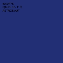 #222F75 - Astronaut Color Image