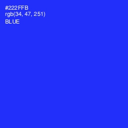 #222FFB - Blue Color Image