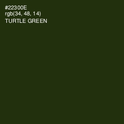 #22300E - Turtle Green Color Image