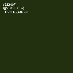 #22300F - Turtle Green Color Image