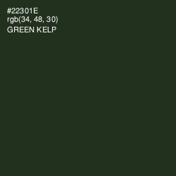 #22301E - Green Kelp Color Image