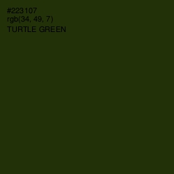 #223107 - Turtle Green Color Image