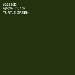 #22330D - Turtle Green Color Image