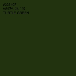 #22340F - Turtle Green Color Image