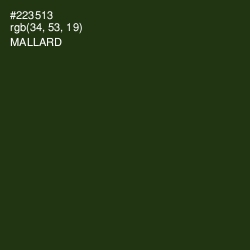 #223513 - Mallard Color Image