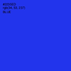 #2235ED - Blue Color Image