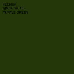 #22360A - Turtle Green Color Image