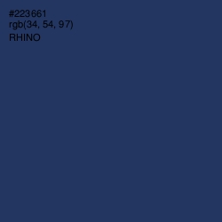 #223661 - Rhino Color Image