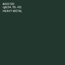 #22372D - Heavy Metal Color Image