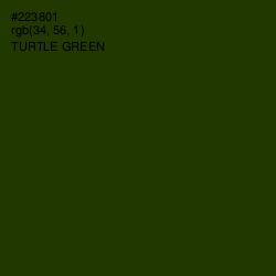 #223801 - Turtle Green Color Image