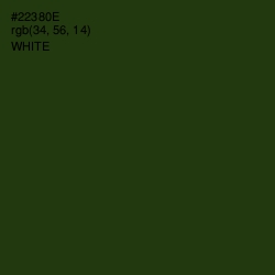 #22380E - Turtle Green Color Image
