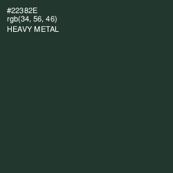 #22382E - Heavy Metal Color Image