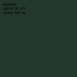 #22382F - Heavy Metal Color Image