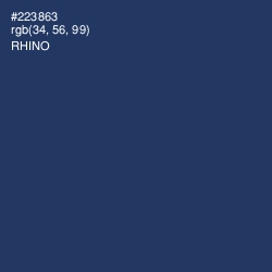 #223863 - Rhino Color Image