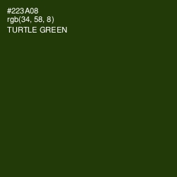 #223A08 - Turtle Green Color Image
