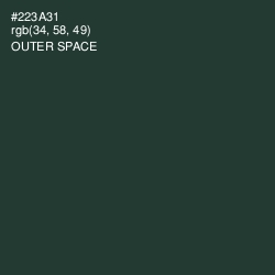 #223A31 - Outer Space Color Image