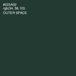 #223A32 - Outer Space Color Image
