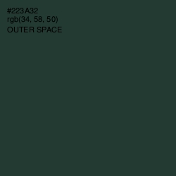 #223A32 - Outer Space Color Image