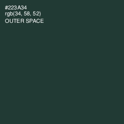 #223A34 - Outer Space Color Image