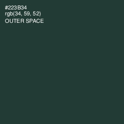 #223B34 - Outer Space Color Image