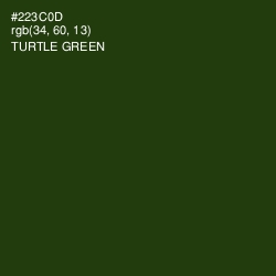 #223C0D - Turtle Green Color Image