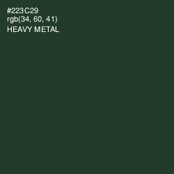 #223C29 - Heavy Metal Color Image