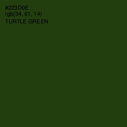 #223D0E - Turtle Green Color Image