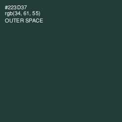 #223D37 - Outer Space Color Image