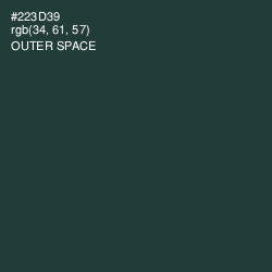 #223D39 - Outer Space Color Image
